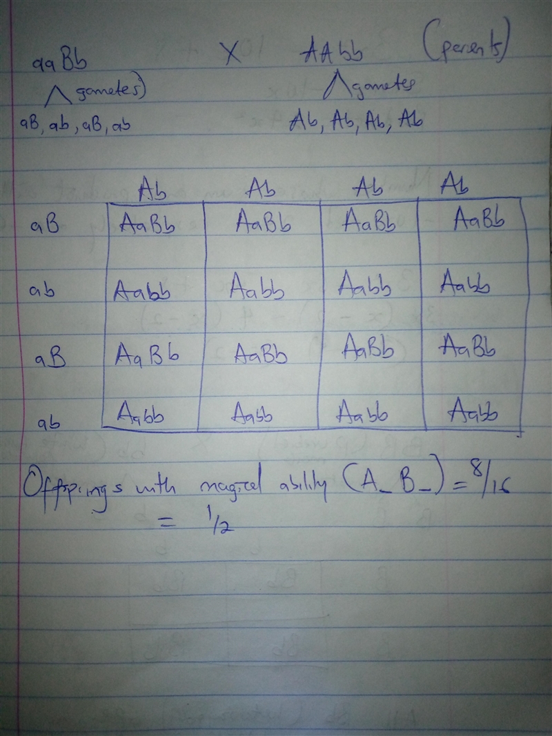 Magical ability is a dominant trait controlled by two loci. To be able to perform-example-1