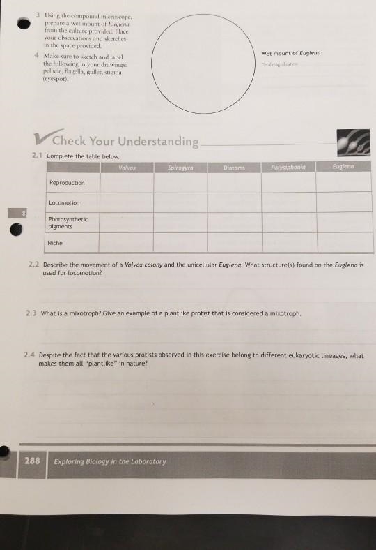 Despite the fact that the various protists observed in this exercise belong to different-example-1