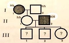 What about tracking an autosomal dominant trait, such as having a widow's peak? The-example-1