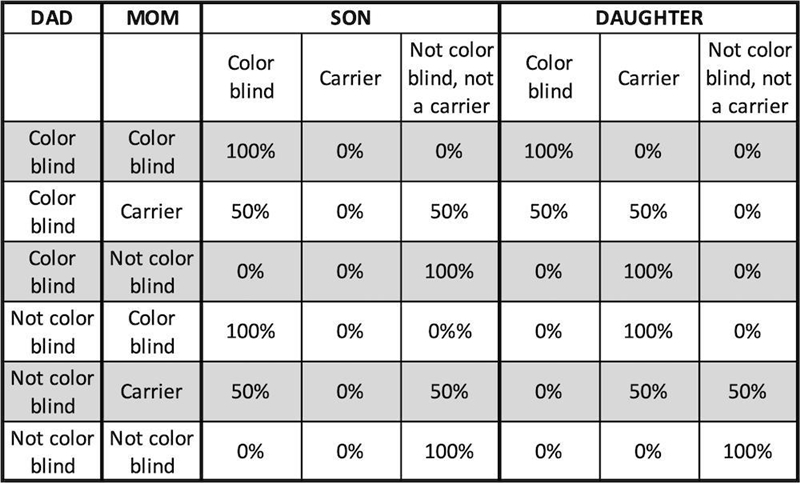 A mother is a carrier for colorblindness and a dad is colorblind, please draw a Punnet-example-1