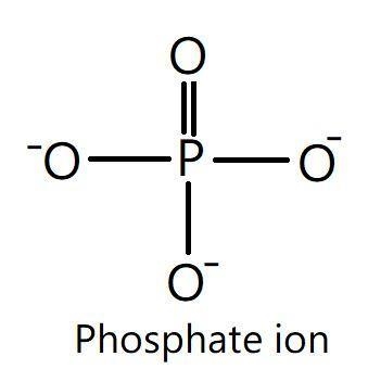 A phosphate group has the following chemical composition: a. -OH b. -COOH c. -PS2 d-example-1