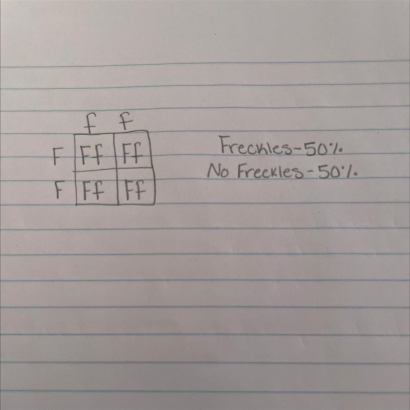 If you click on the picture there is a punnet square that needs to be filled out please-example-1