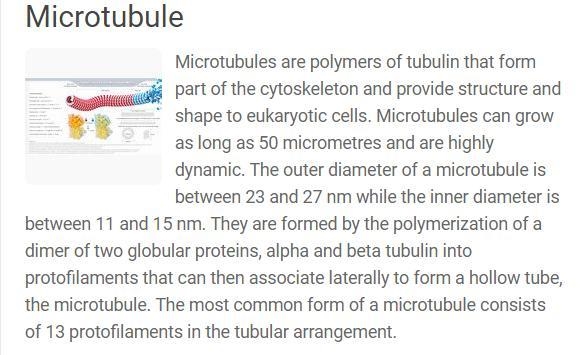 9. Which structure helps animal cells maintain their shape? O A Cell walls OB Chromosomes-example-1