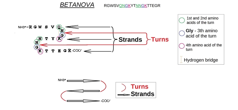 A synthetic 20 amino acid polypeptide named Betanova was designed as a small soluble-example-1