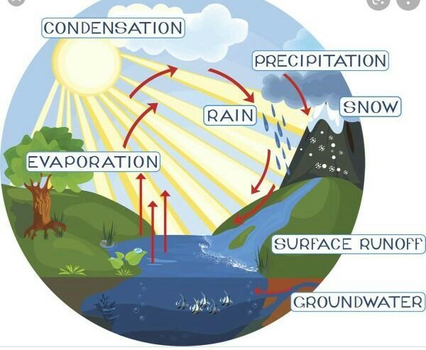 Explain water cycle with the help of diagram​-example-1