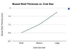 The California Mussel (​ Mytilus californianus​ ) is the natural prey of the shore-example-1