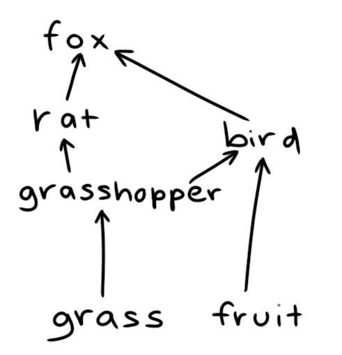 Draw and explain what a food web is​-example-1