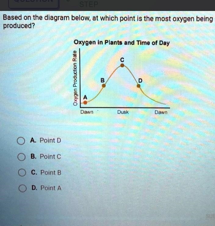 Based on the diagram below, at which point is the most oxygen being produced? Oxygen-example-1