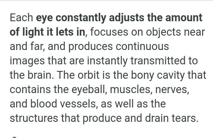 Parts of the human eye and it's function​-example-2