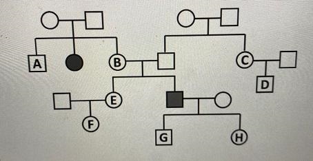 g the inability to metabolize phenylalanine is a recessive autosomal trait called-example-1