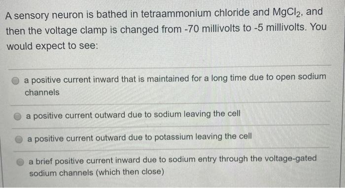 A sensory neuron is bathed in tetraammonium chloride and MgCl2, and then the voltage-example-1