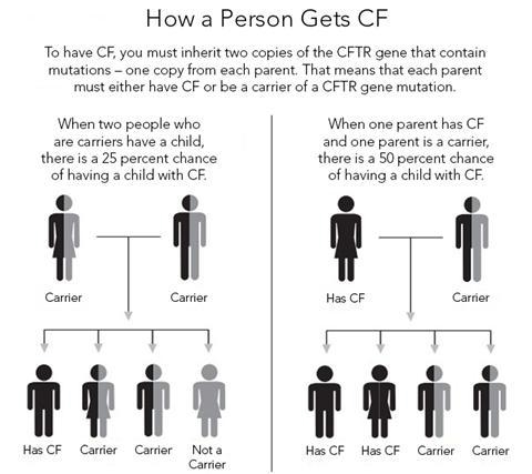 What is the probability of two cystic fibrosis carriers having a child with cystic-example-1