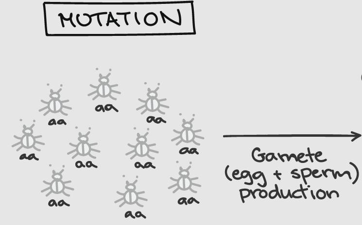 DNA Mutations Project: Analyzing Genetic Variation-example-1