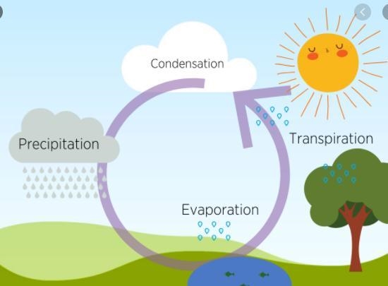 Select the correct answer. Where does precipitation occur in the water cycle? The-example-1