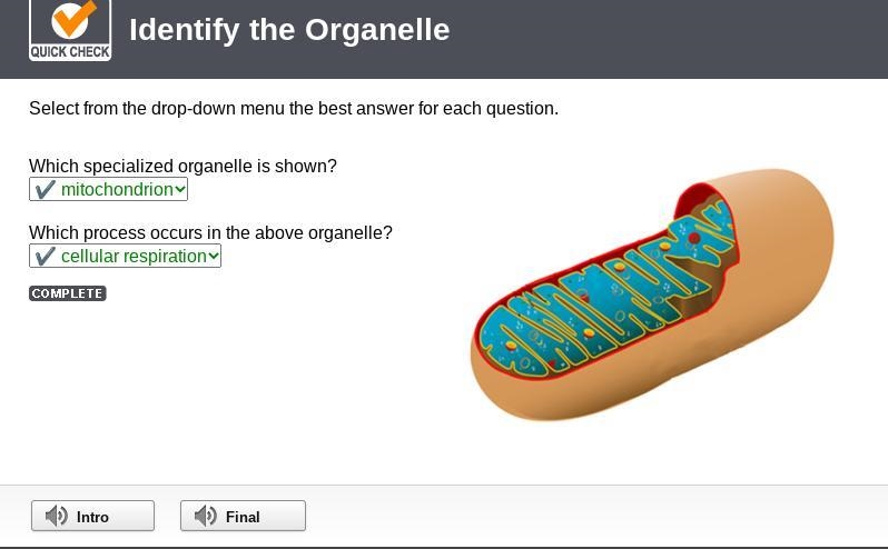 Select from the drop-down menu the best answer for each question. Which specialized-example-1