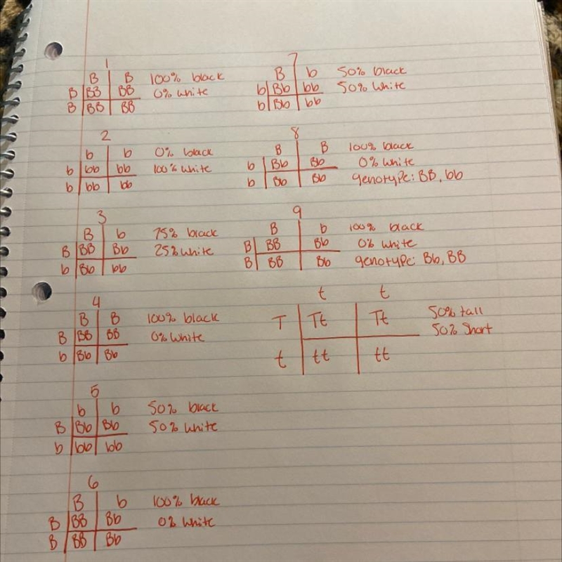 Fill in the missing information for each Punnett square below:-example-1