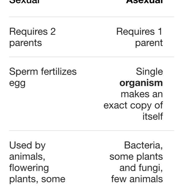 During asexual reproduction, does the organism NEED to make a copy of two organisms-example-1