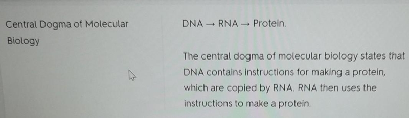 8. The central Dogma of Biology states: a. DNA proteins ORNA b. RNA O Proteins DNA-example-1