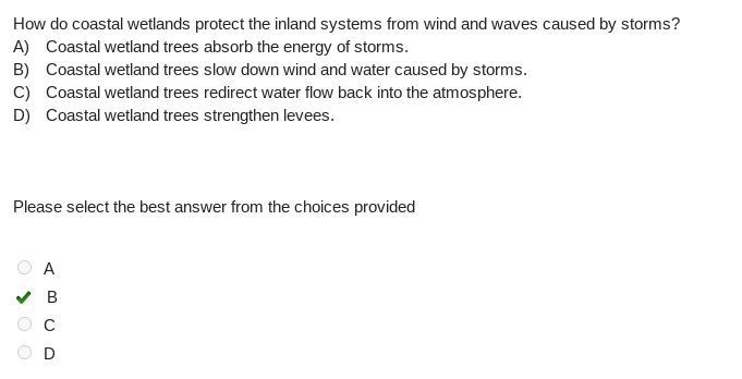 How do coastal wetlands protect the inland systems from wind and waves caused by storms-example-1