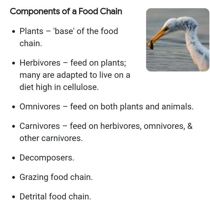 The components of every food chain are​-example-1