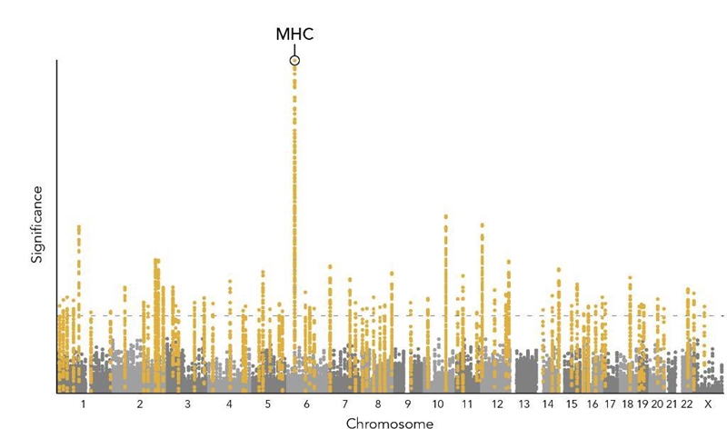 In one study, 108 regions of the genome were identified to be significantly associated-example-1