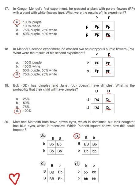 Can someone help me with the answers to this picture?-example-1