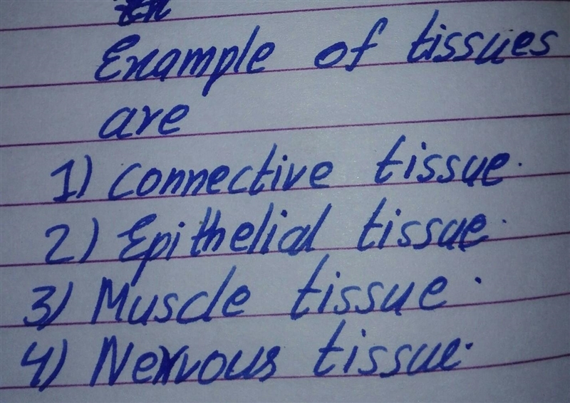 Examples of tissues ​-example-1