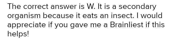 Which organism(s) between w,x,y and z represent a secondary consumer ? 1.x 2.w and-example-1