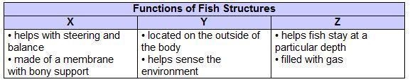 Cheng made a chart to list the functions of certain fish structures which headings-example-1