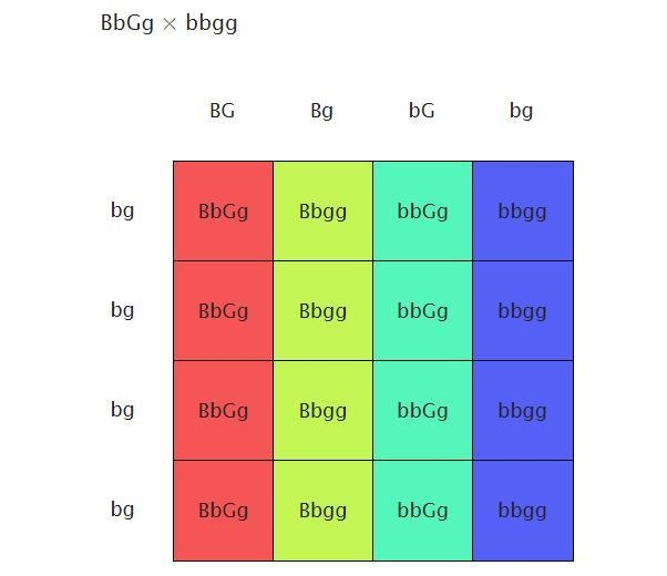 A scientist is researching two different traits in an insect: body texture and color-example-1