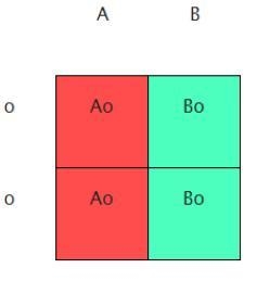 A man with type O blood and a woman with type AB blood get married. What is the probability-example-1