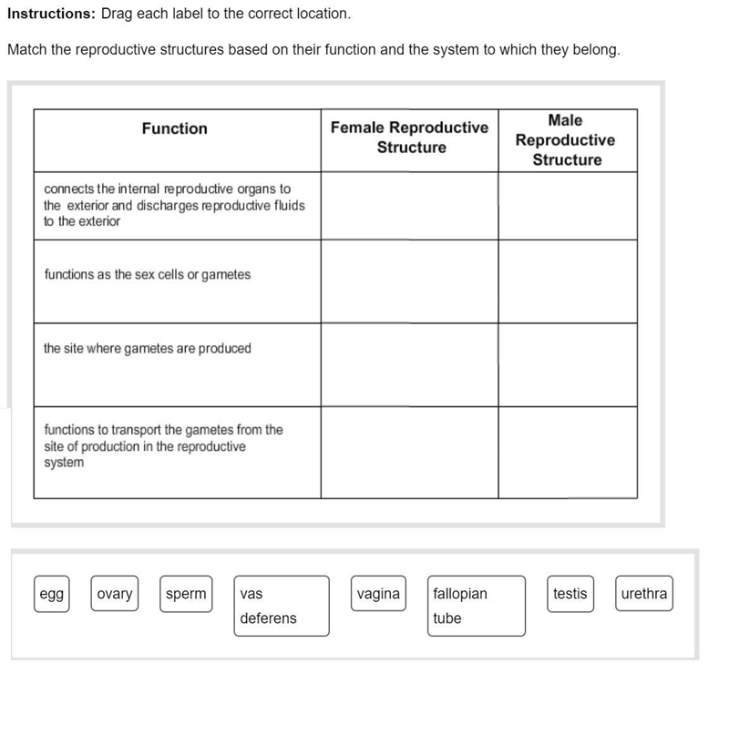 Match the reproductive structures based on their function and the system to which-example-1