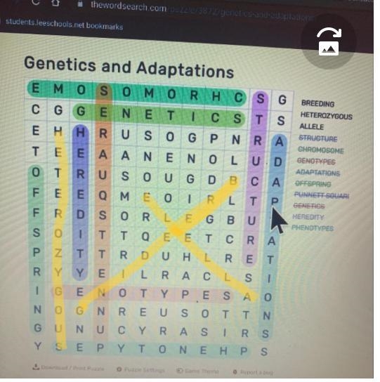 I can’t find breeding,heterozygous,Allele-example-1