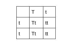 Complete the punnett square-example-1