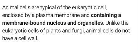 Animal cells have which of the following characteristics? Select all that apply. cleavage-example-1