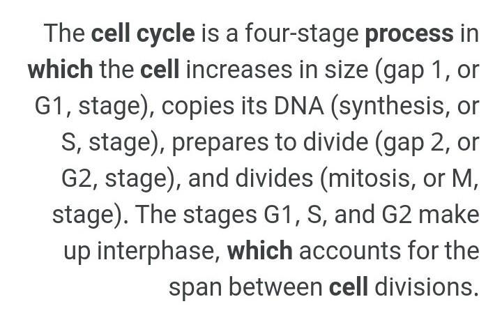 Explain the process of cell division-example-1