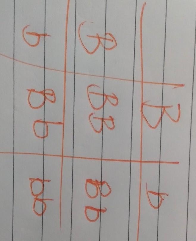 Pls help!! What should be the parents genotype if the frequencies of the alleles in-example-1