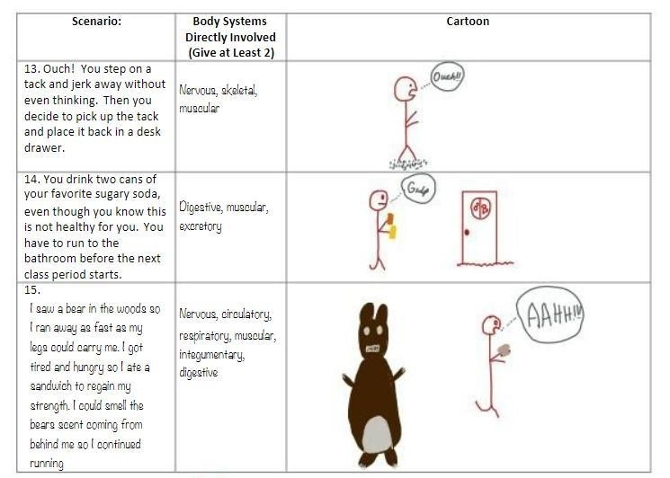 Remember that organ systems do not work in isolation! Illustrate a cartoon that represents-example-2