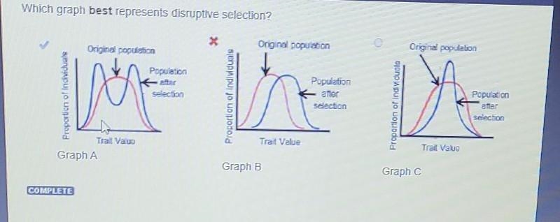 Which graph best represents directional selection? Original population Onginal population-example-1