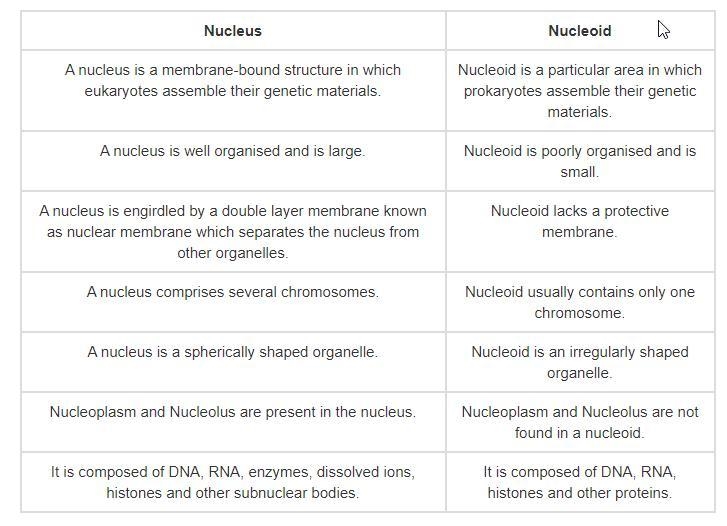 4. What is the difference between a Nucleolus and a Nucleoid?-example-1