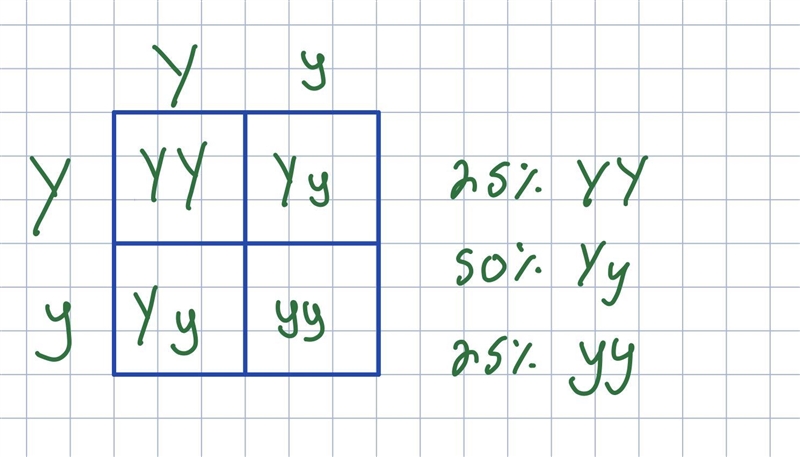 B. What is the probability that event 1 AND event 2 will occur? = probability of event-example-1