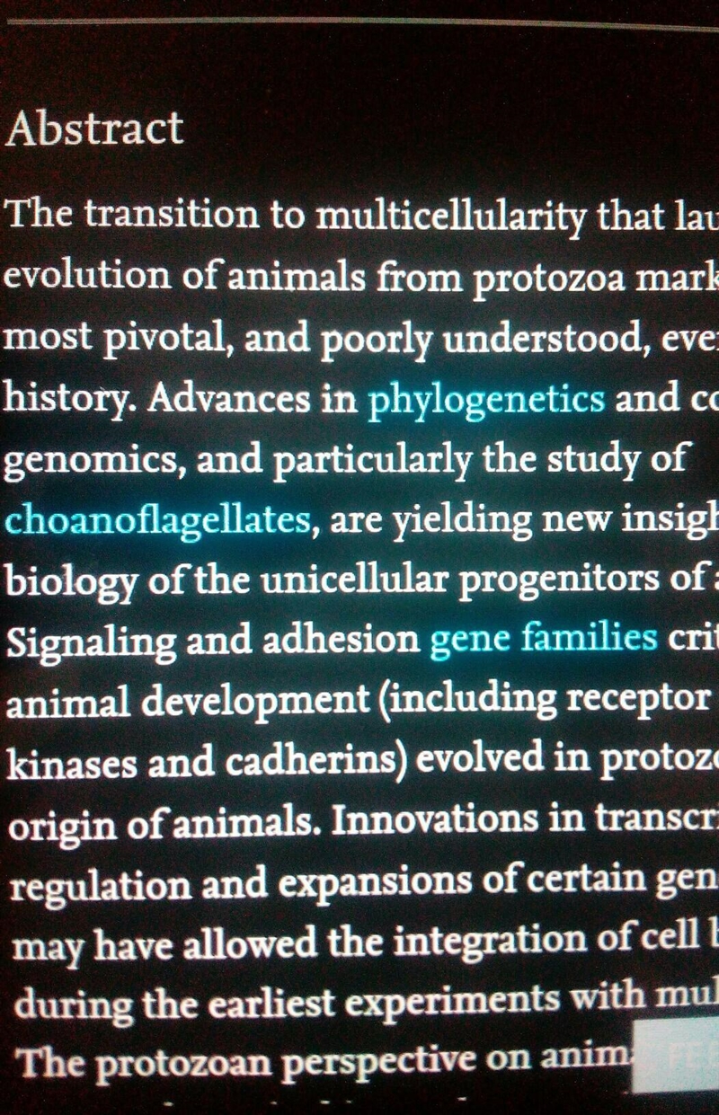 Using morphological features, the colonial flagellate hypothesis about the origin-example-1