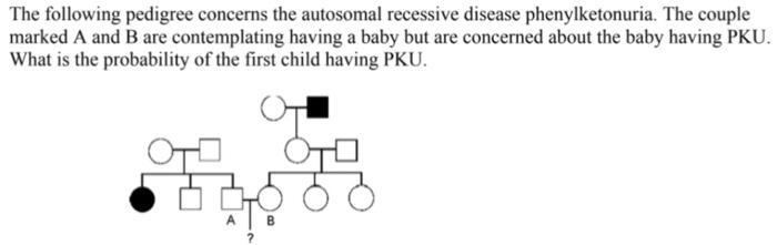 The pedigree below concerns the autosomal recessive disease phenylketonuria (PKU). The-example-1