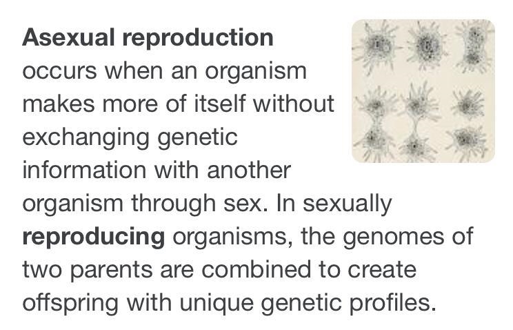 Why and how is asexual reproduction possible?-example-1