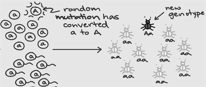 DNA Mutations Project: Analyzing Genetic Variation-example-2