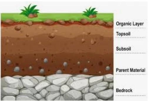 Praw a diagram of the different type of Soil horizon​-example-1