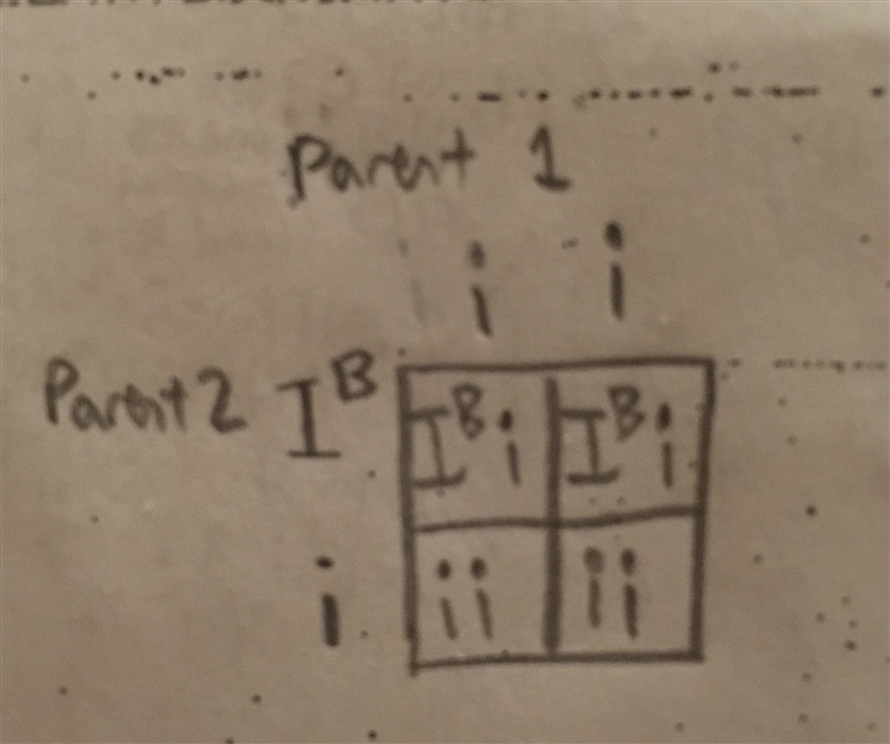 One parent has blood type O, and the other has blood type Bi. What is the chance that-example-1