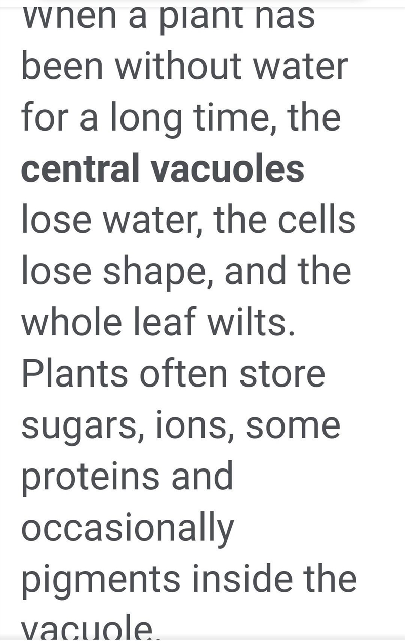 Which organelle in a plant cell is most affected when a plant has not received any-example-1