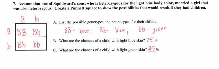 What is the genotype of Squidward's son?-example-1