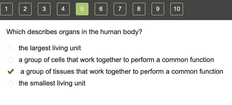 Which describes organs in the human body? ОО the largest living unit a group of cells-example-1